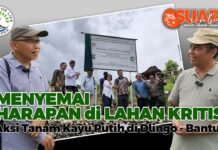 AKSI TANAM KAYU PUTIH : Selamatkan Ekologi Bangkitkan Ekonomi Rakyat