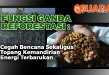 FUNGSI GANDA REFORESTASI : Cegah Bencana Sekaligus Topang Kemandirian Energi Terbarukan